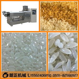 免蒸米飯生產(chǎn)設(shè)備 方便營養(yǎng)米加工流水線機(jī)械 廠家新品推出