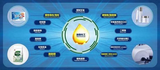 益海嘉里金龍魚(yú)旗下公司入選《農(nóng)產(chǎn)品深加工典型企業(yè)名單》