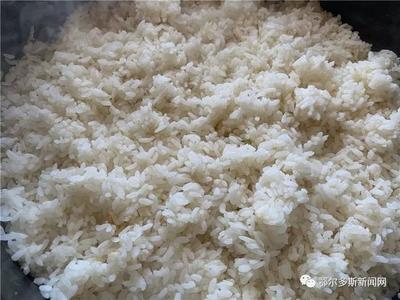 達(dá)拉特旗 “四村大米”上新啦!▏推農(nóng)品 促增收