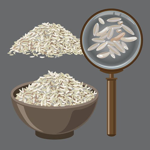 大米經(jīng)過(guò)深加工可以做成哪些米制品呢 富硒姐姐富硒大米為您講述