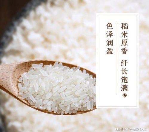 富硒大米 為健康加分的大米新貴
