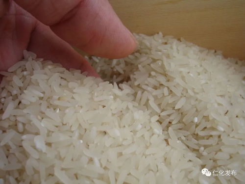 市場新寵 扶溪大米 讓農(nóng)民日子越過越有盼頭