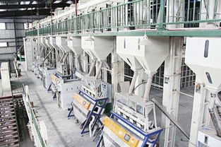 暢銷的大米鋼架式成套設(shè)備價格怎么樣 黑龍江大米加工設(shè)備廠家